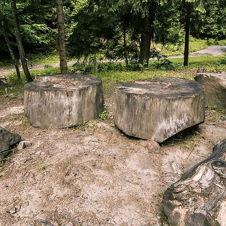 Pid Khomiakom Отель
