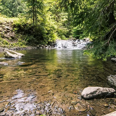 Pid Khomiakom Отель