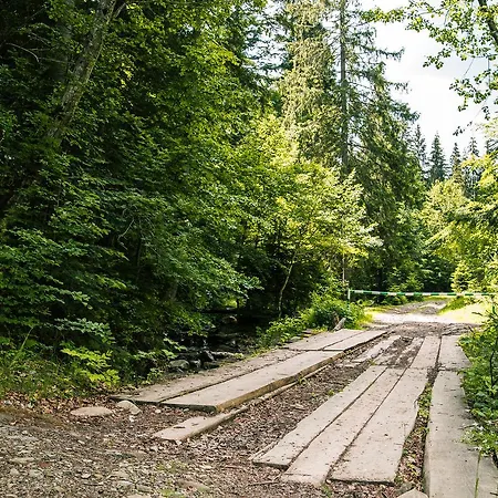 Pid Khomiakom * Tatariv