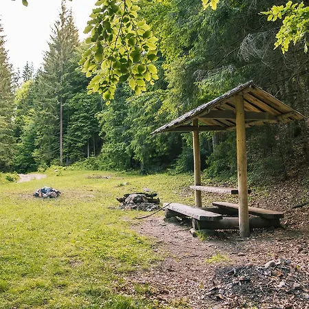 Pid Khomiakom Отель